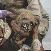 Nubbins Sawyer (Texas Chainsaw Massacre 2) π